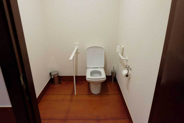 Support rails on either side of the lavatory in the adapted toilet.