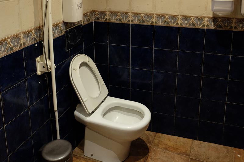 Lavatory in the adapted toilet with a movable support rail on the right-hand side.  