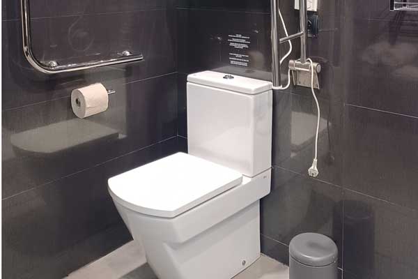 Lavatory in the adapted apartment toilet with moveable and fixed support rail.