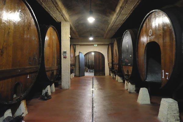 Main cellar with cider “kupelas” (barrels) on both sides. 