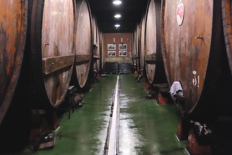Second cellar with cider “kupelas” (barrels) on both sides and wet floor. 
