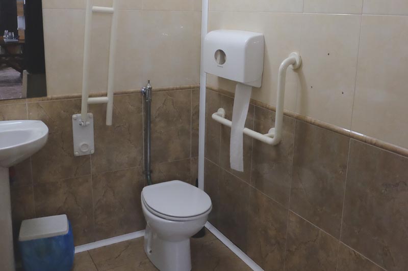 Support rails on both sides of the lavatory in the adapted toilet in the main dining room.