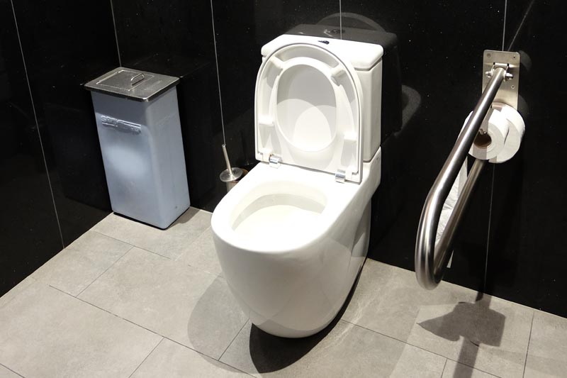 Lavatory with a movable support rail on the left-hand side. 