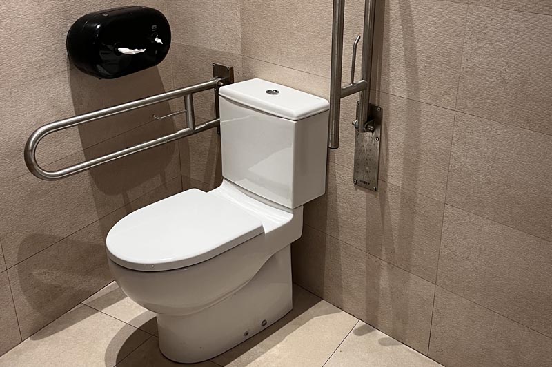 Support rails on either side of the lavatory in the adapted toilet. 