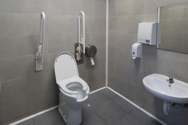 Adapted lavatory with toilet with two grab bars