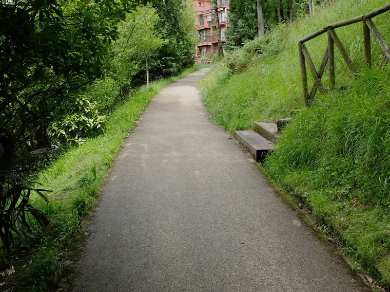 Section of the asphalt path of the Cristina-Enea park with a slope, trees and green areas on both sides. On the right, access stairs to another area of ​​the park.