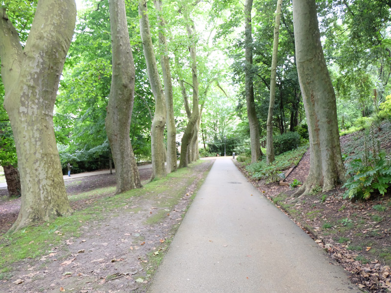 Tronçon du sentier asphalté du parc Cristina-Enea sans pente, des deux côtés des arbres suivant la ligne du sentier.