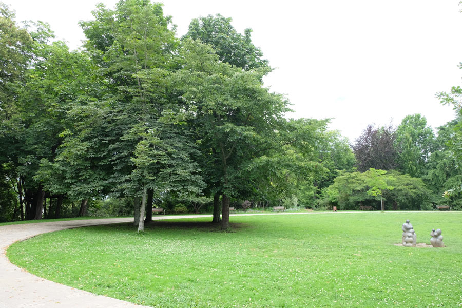 The Oval surrounded by trees